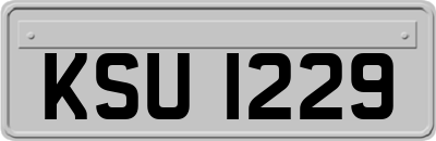 KSU1229