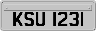KSU1231