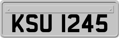 KSU1245