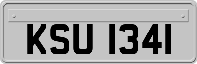 KSU1341
