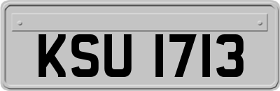 KSU1713