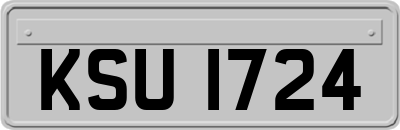 KSU1724