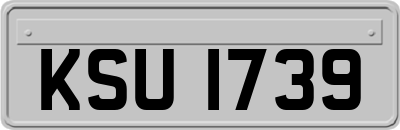 KSU1739