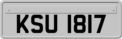 KSU1817