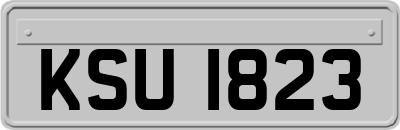 KSU1823