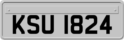 KSU1824