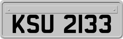 KSU2133