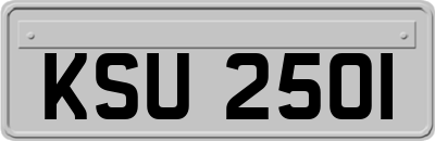 KSU2501