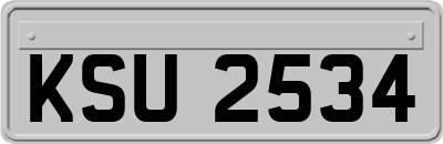 KSU2534