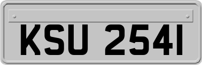 KSU2541