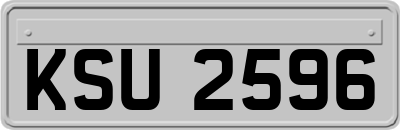 KSU2596