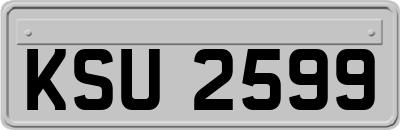 KSU2599