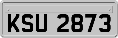 KSU2873