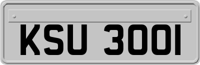 KSU3001