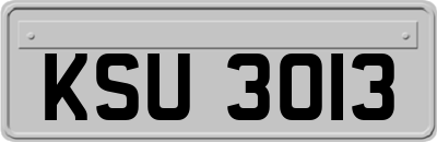 KSU3013