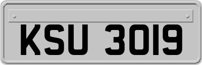 KSU3019