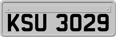 KSU3029