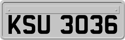 KSU3036