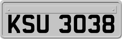 KSU3038