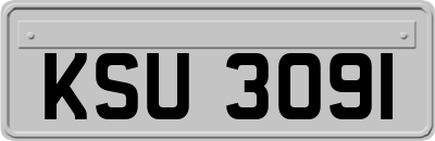KSU3091