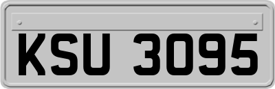 KSU3095
