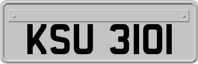 KSU3101