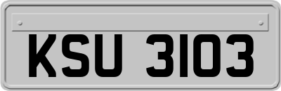 KSU3103