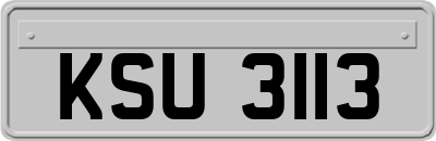 KSU3113