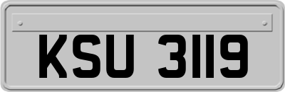 KSU3119