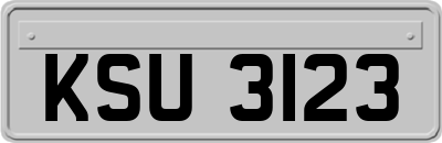 KSU3123