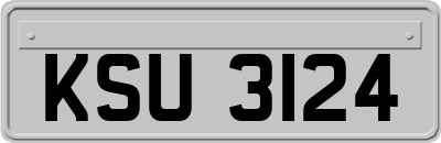 KSU3124