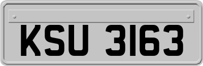 KSU3163