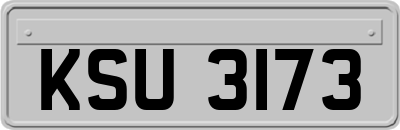 KSU3173