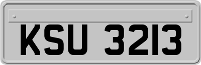 KSU3213