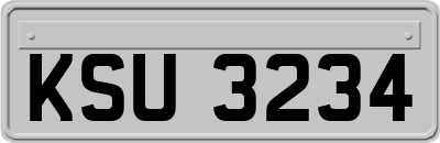 KSU3234