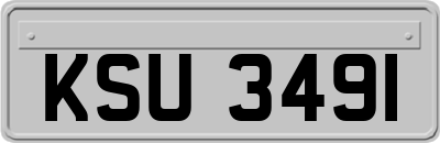 KSU3491