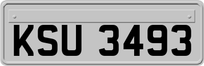 KSU3493