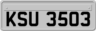 KSU3503