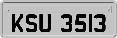 KSU3513