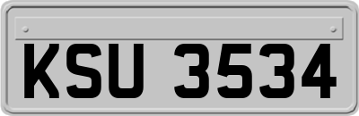 KSU3534