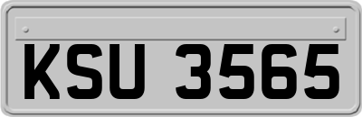 KSU3565