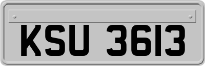 KSU3613