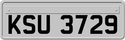 KSU3729