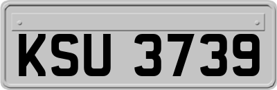 KSU3739