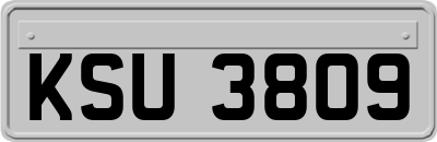 KSU3809