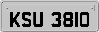 KSU3810