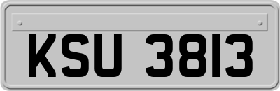KSU3813