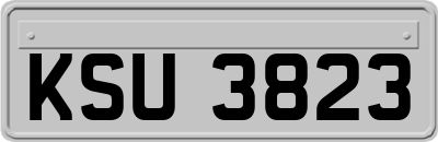 KSU3823
