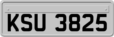 KSU3825