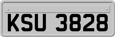 KSU3828